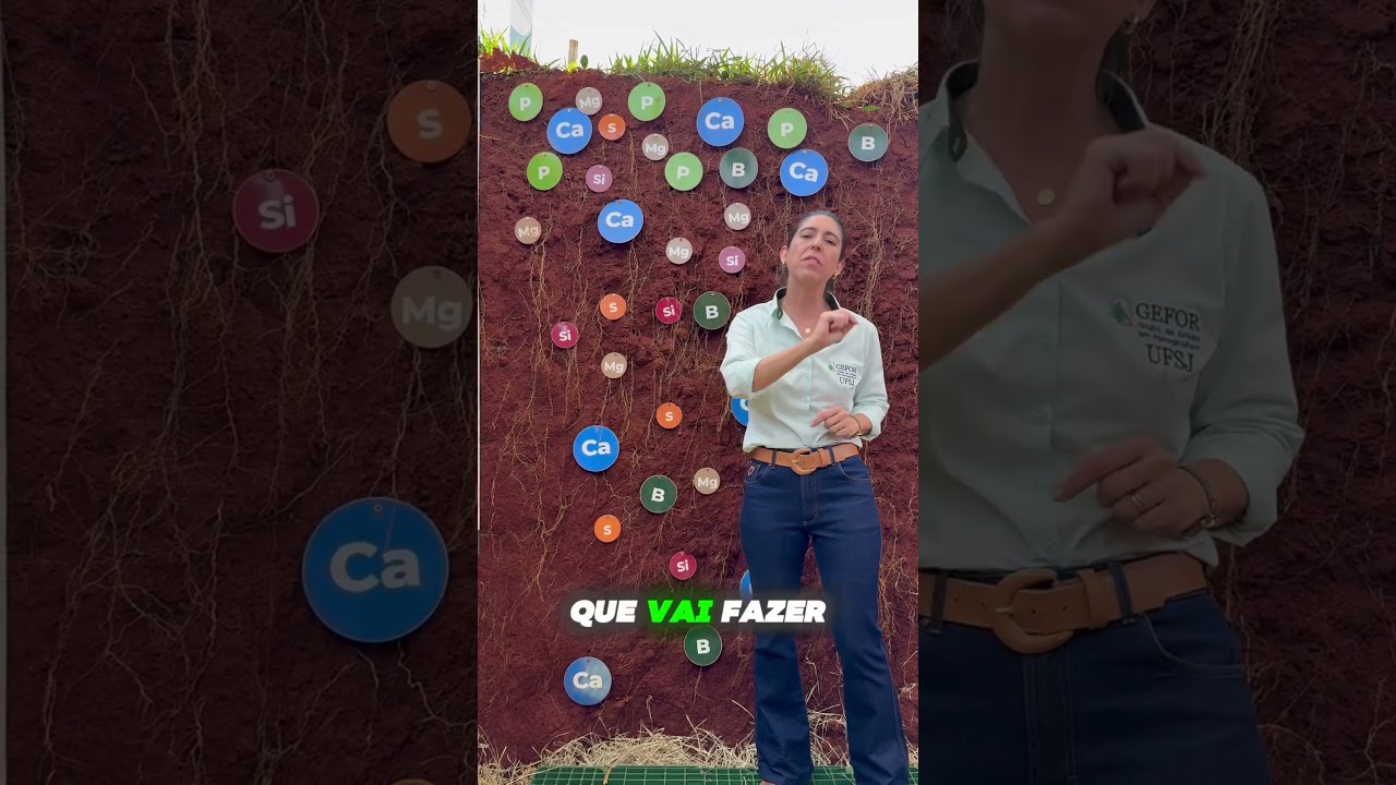 CALC&Aacute;RIO E GESSO EM PASTAGENS #pastagem #pecuarista #fazenda