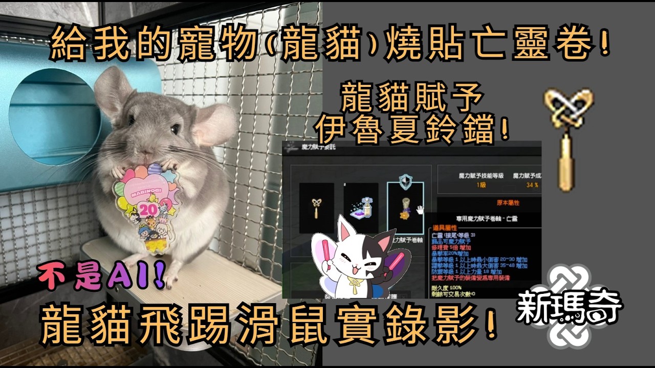 【新瑪奇 Mabinogi】給我現實養的寵物燒貼亡靈賦予卷! 貼伊魯夏貓鈴鐺! 實錄實拍不是AI!