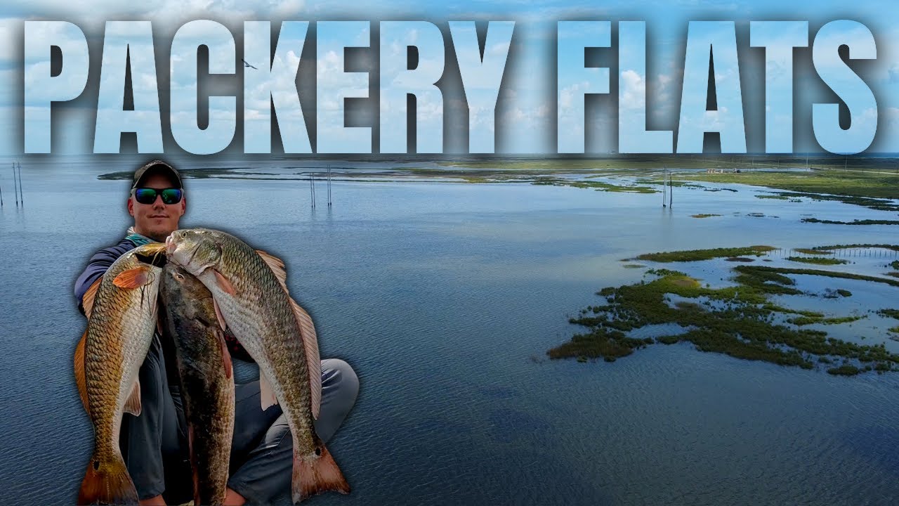 Морской окунь повсюду у линий электропередач Packery Flats &ndash; рыбалка в Корпус-Кристи, штат Техас!