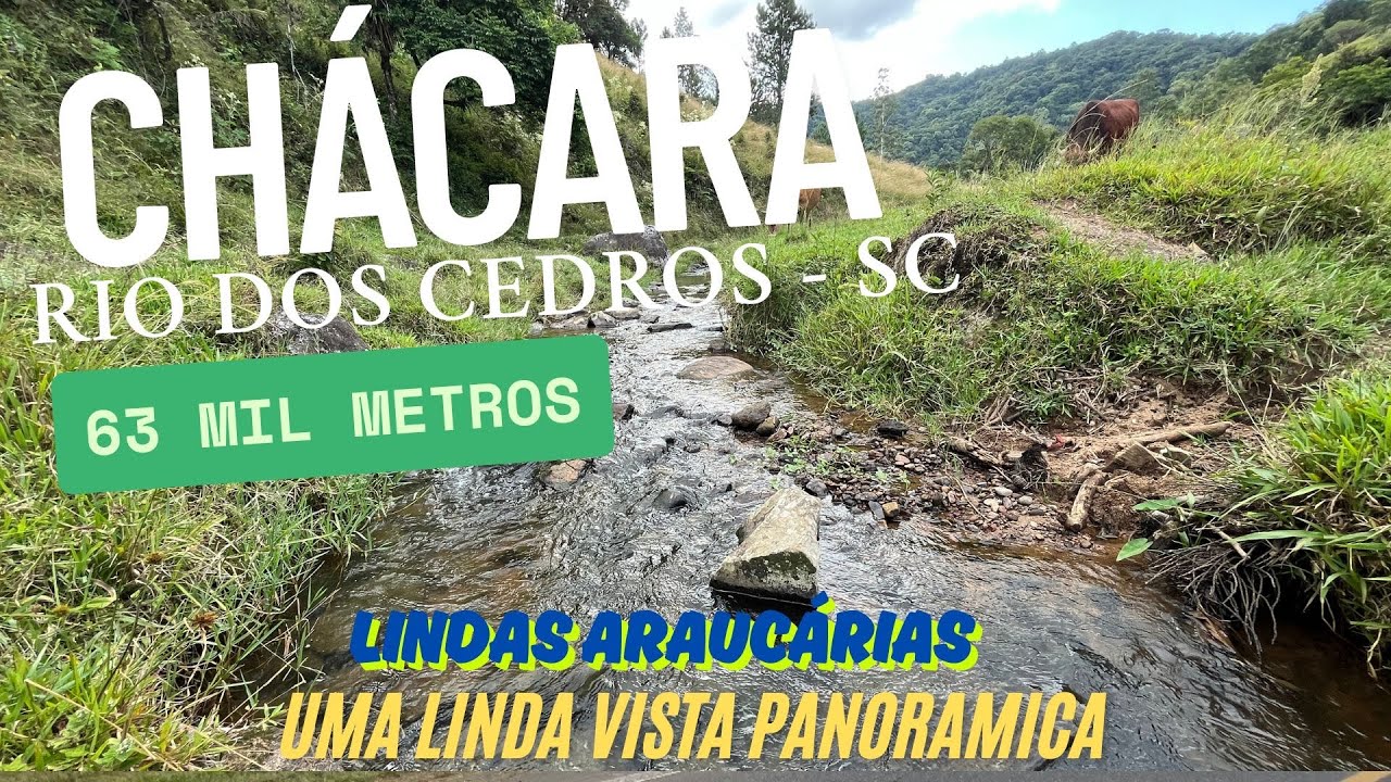 Chácara com uma Vista Magnífica em Rio dos Cedros SC #natureza #chácara #sitio