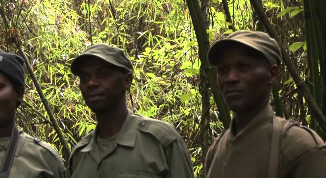 Rwanda Development Board