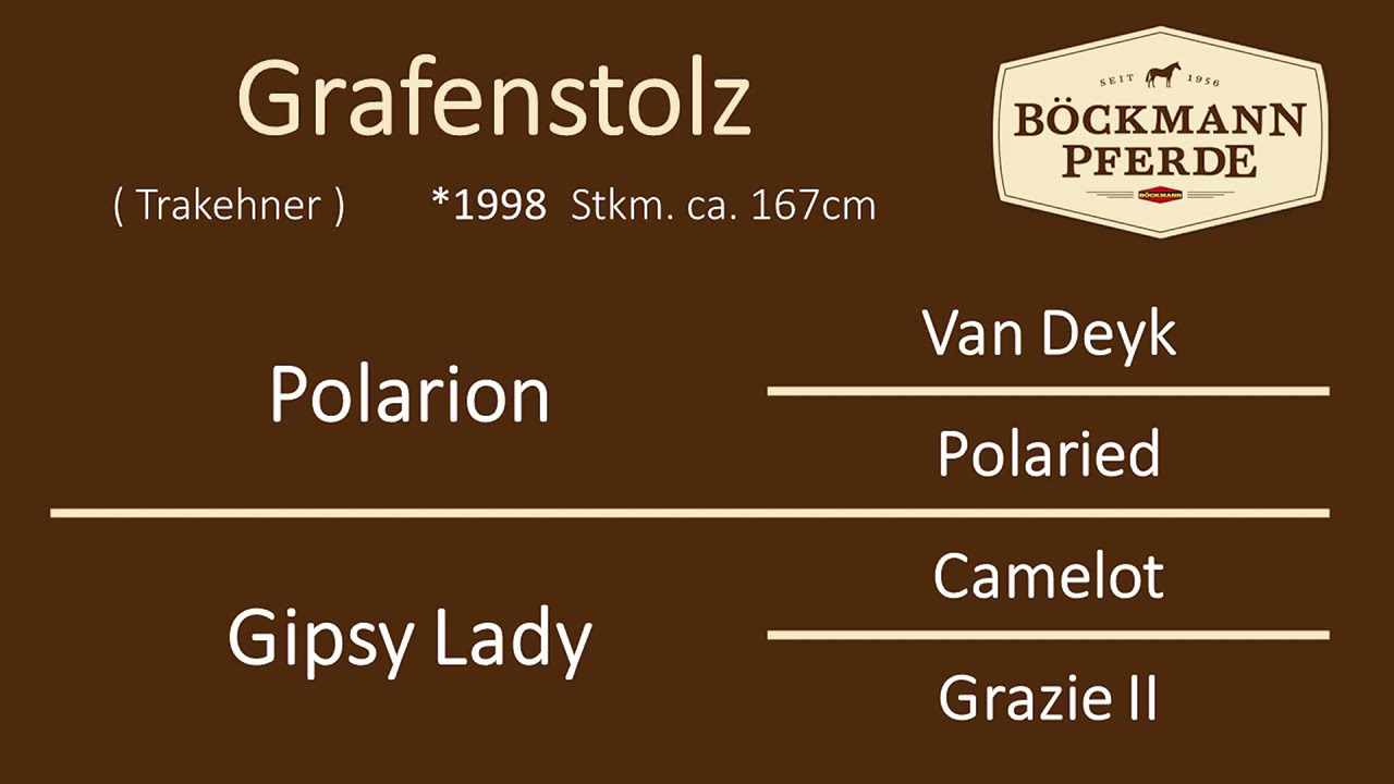 Grafenstolz - Hengstpräsentation 2021