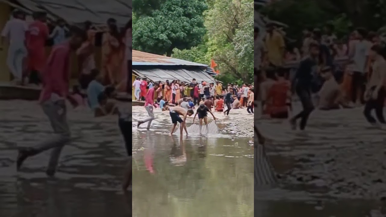 monkey ke sath bacche full enjoy karte # short video viral# video viral
