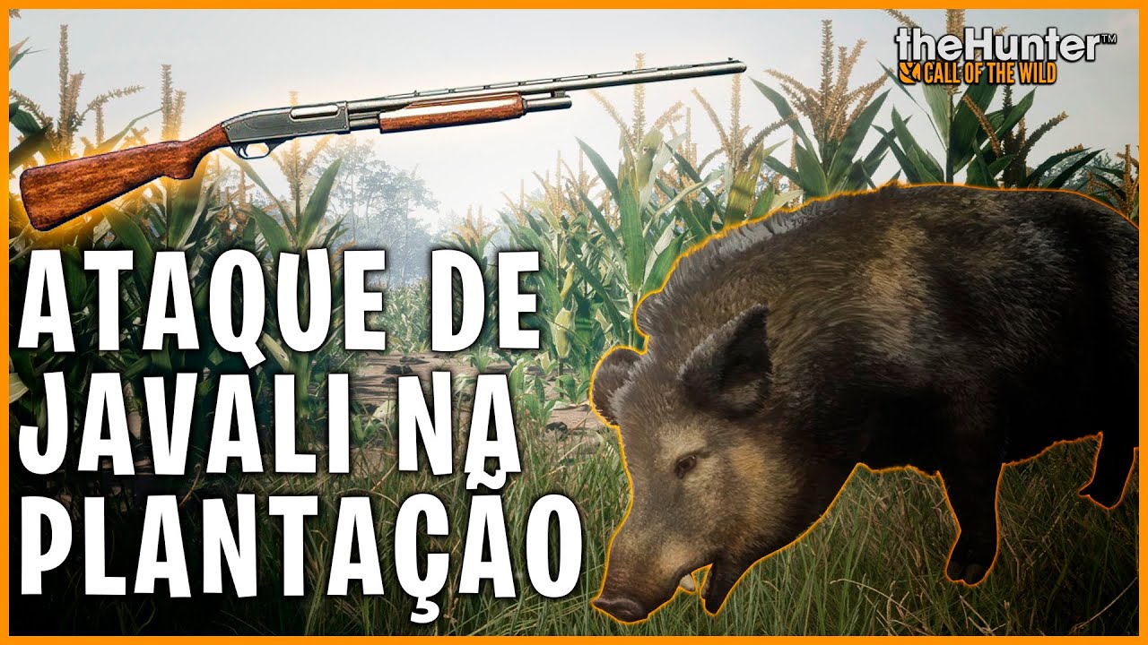 ATAQUE DE JAVALI NA PLANTA&Ccedil;&Atilde;O - CA&Ccedil;ADA DE JAVALI SELVAGEM NA CALIBRE 12 THE HUNTER CALL OF THE WILD