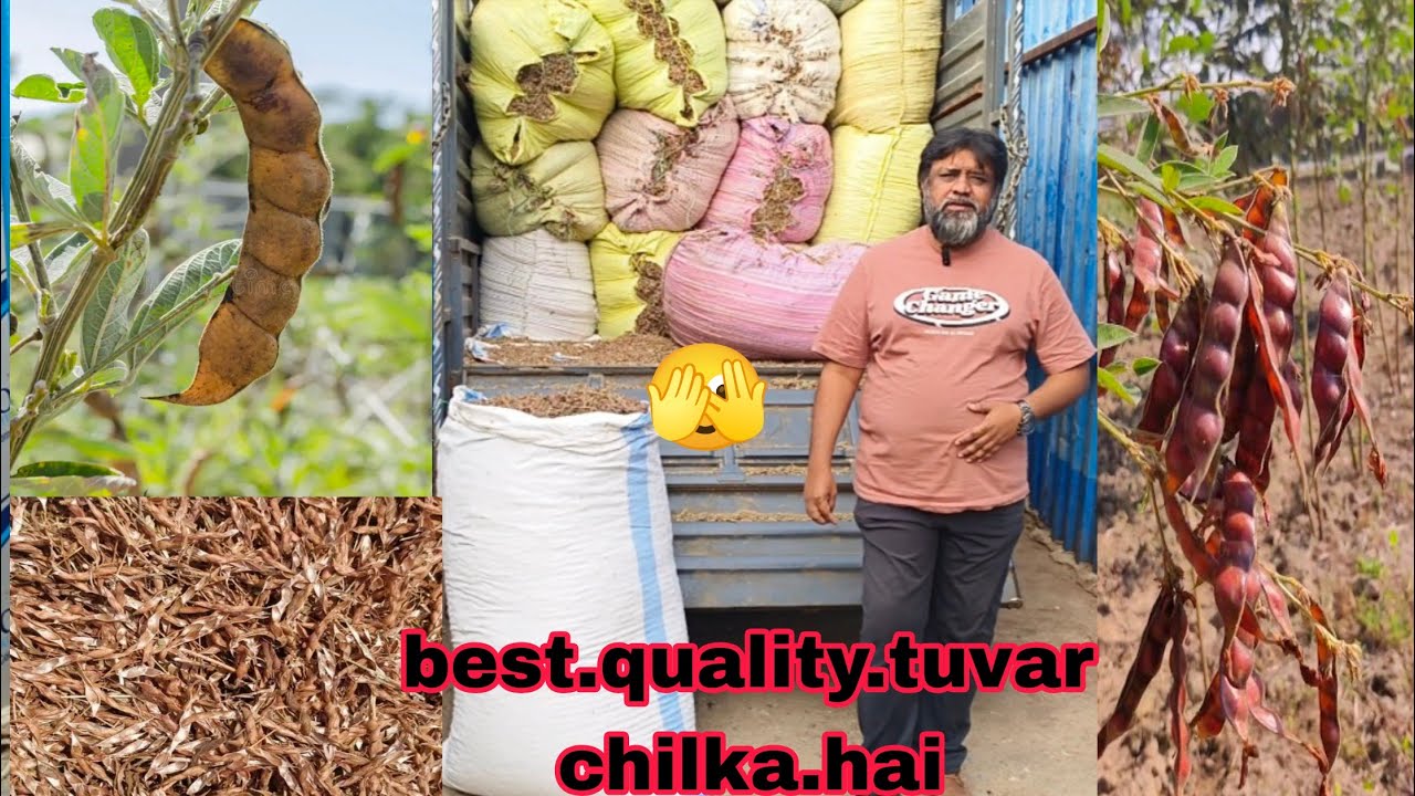 Best quality Tuvar ka chhilka hai available in Hyderabad 