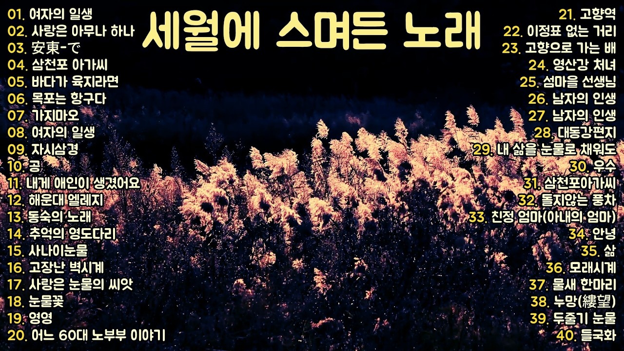 🎧 세월에 스며든 노래 │ 여자의 일생·고향역·사나이눈물·어느 60대 노부부 이야기 외 인생을 담은 정통 트롯 40곡 연속듣기