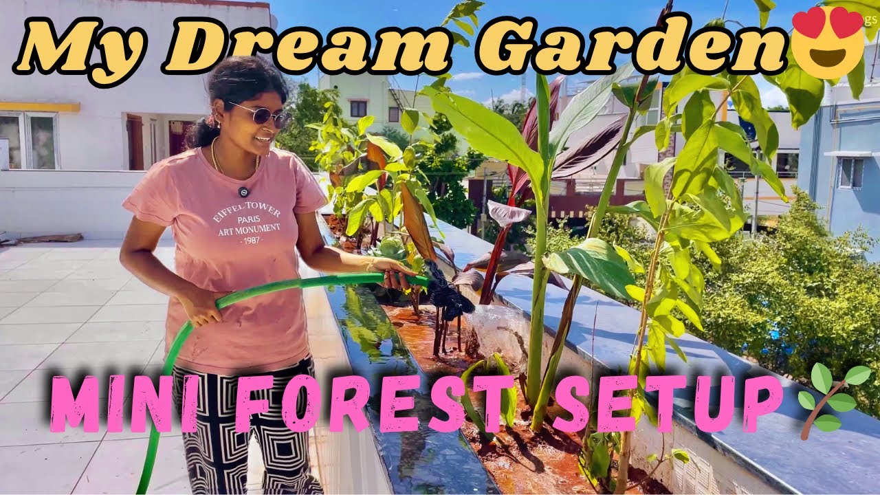Landscaping Part 2 | Full Garden Plantation Day 🌸 | Added Colorful Roses