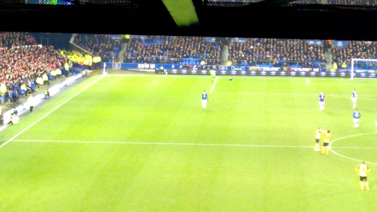 Joel Robles vs Everton Cat