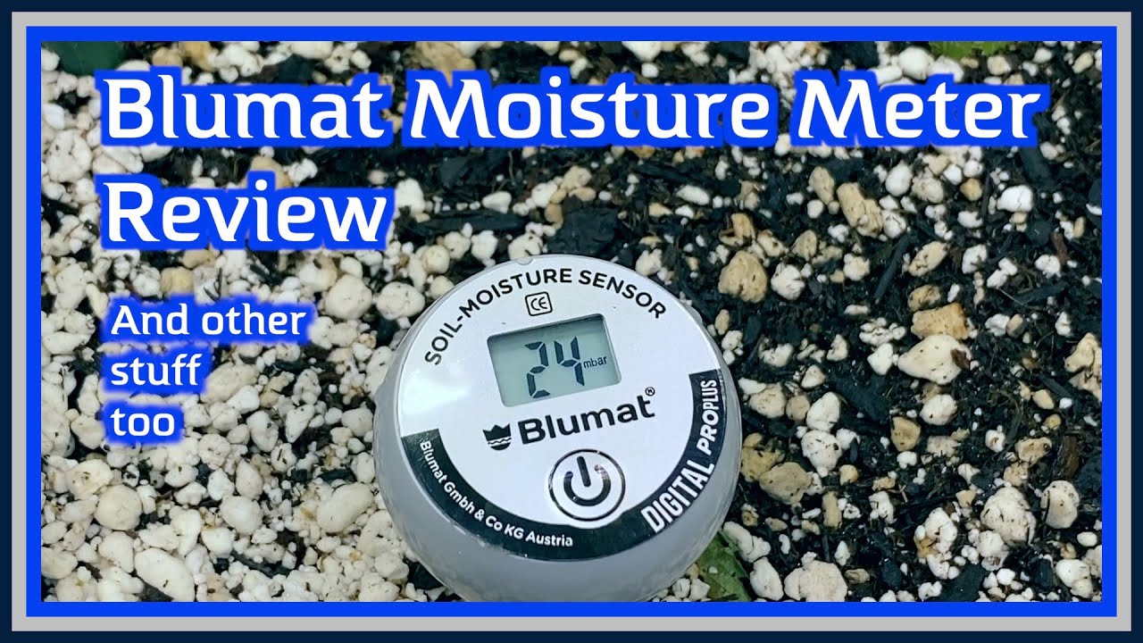 Blumat Moisture Meter Review/Course Sample Video/some other she&middot;nan&middot;i&middot;gans