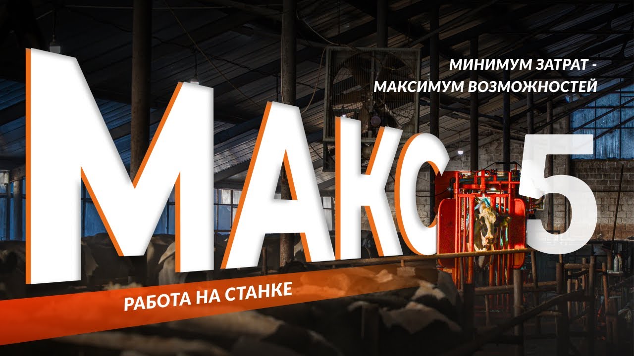 РАБОТА НА МАКС-5 | Станок для фиксации КРС