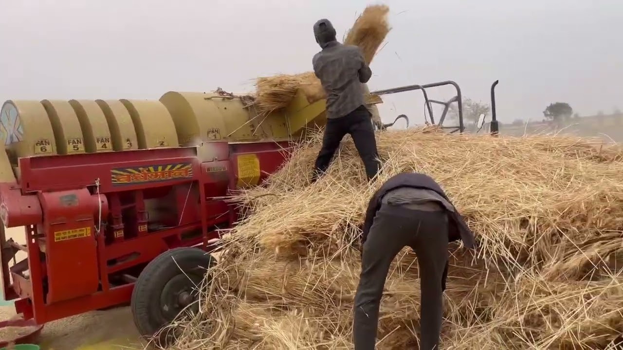 गेंहूँ की गाहनी ll फुल जानकारी ll बेहतरीन थ्रेसर