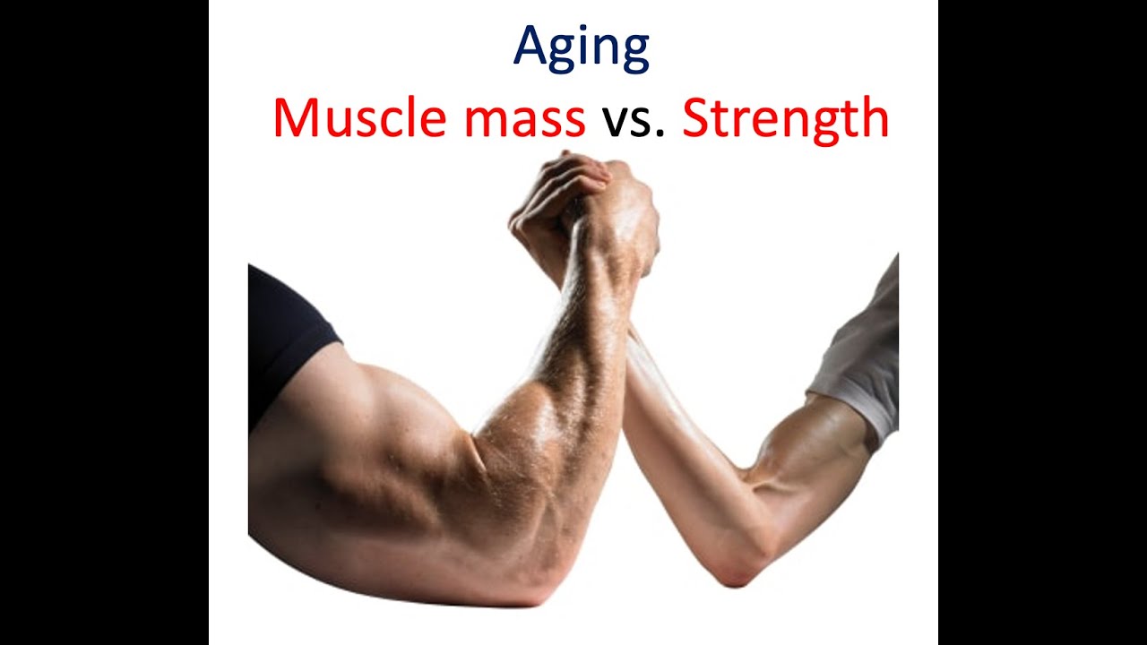 Muscle mass and strength with aging