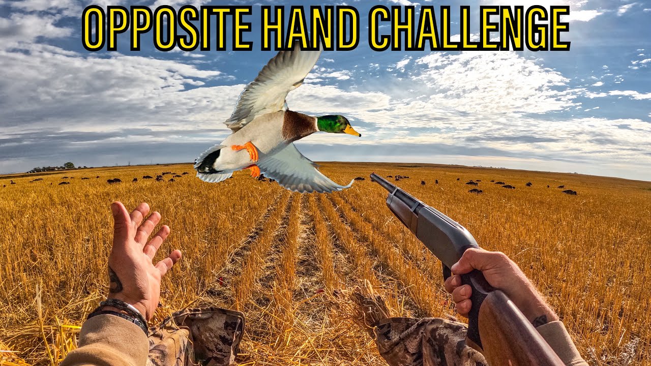 2 GUYS 30 BIRDS 6 SPECIES! OPPOSITE HANDED!