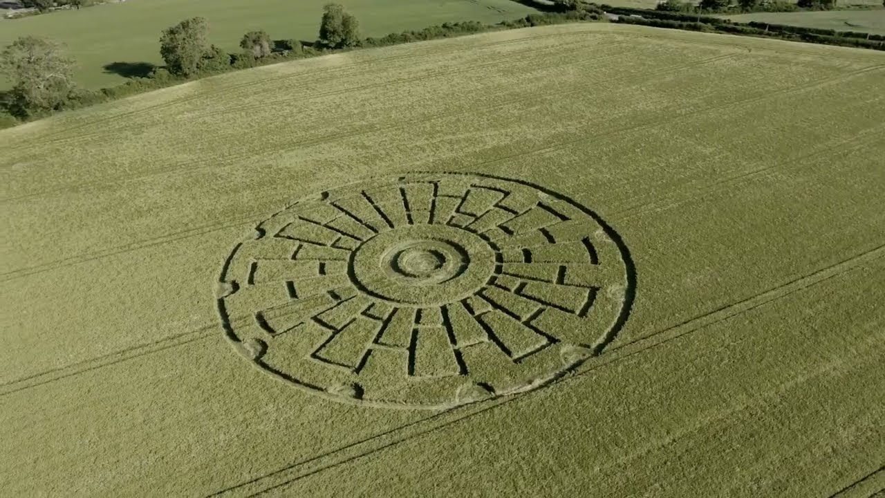 Top of the Crops 2020 - Vol #1