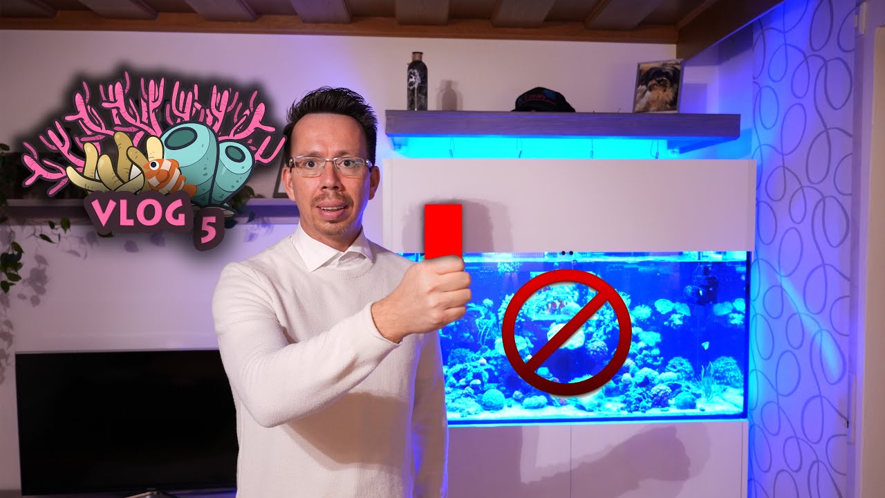 Vlog5 Neue Fische!..... DISASTER!