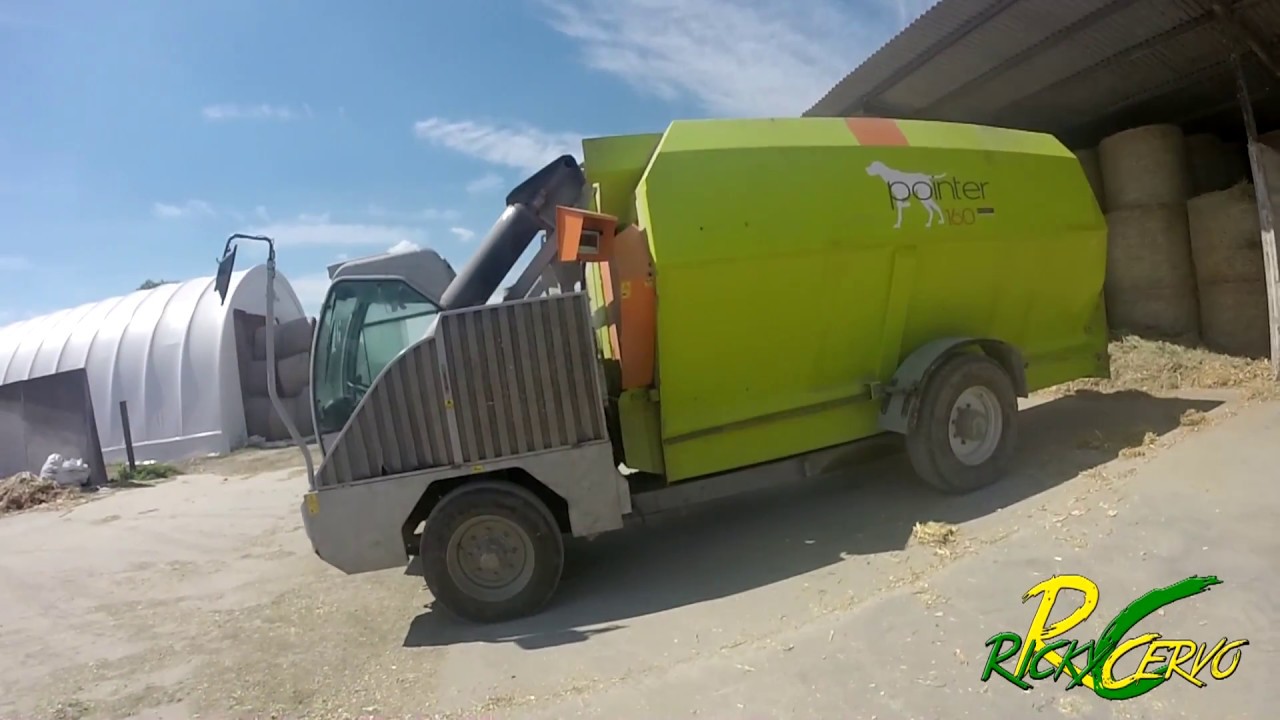 Storti Pointer 160 Feeding Animals | 2016