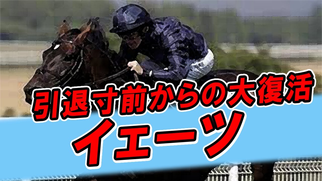 【競馬史に残る伝説】4000mの絶対王者。アスコットゴールドカップ『4連覇』を達成した唯一の馬、イェーツ【海外競馬】