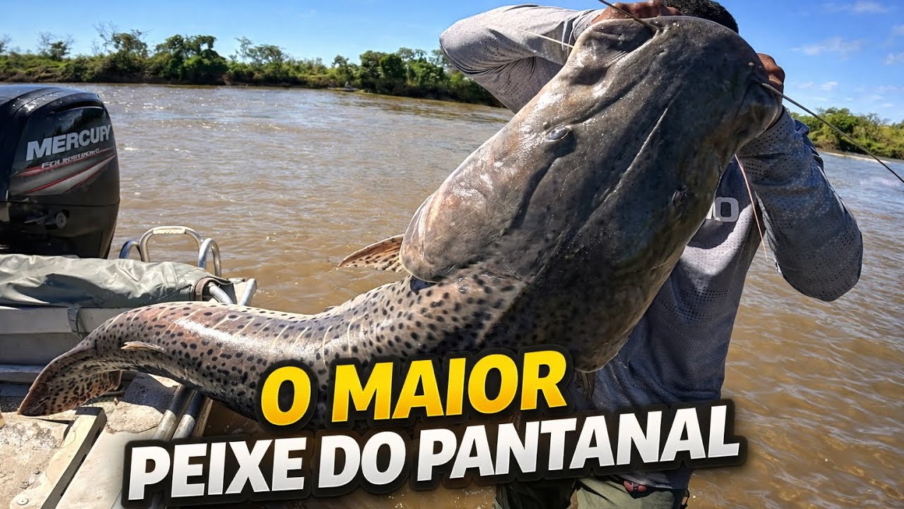 PEGUEI O MAIOR PEIXE DA MINHA VIDA! Rio Miranda Pantanal 