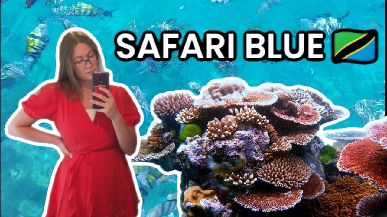 Is SAFARI BLUE worth it? - ZANZIBAR'S most popular tour