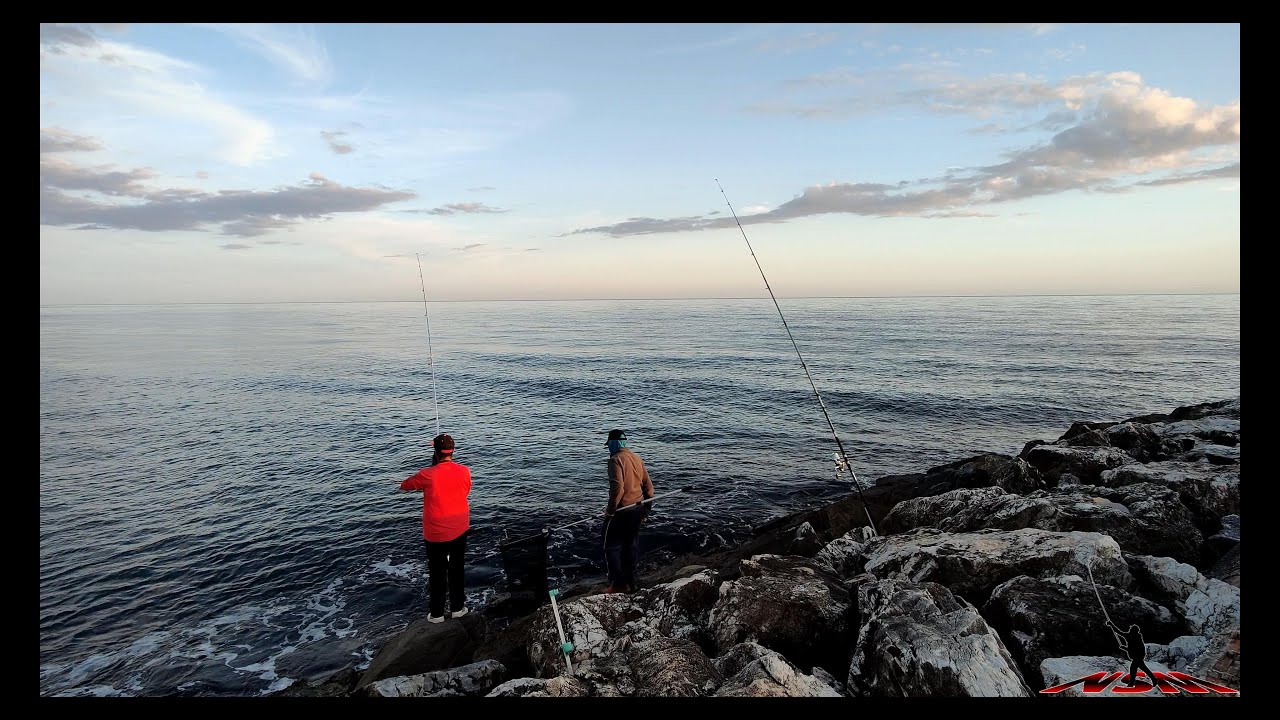Jornadón a Surfcasting en Cabo Pino.  Noche de grandes picadas, mucha escama y mas....