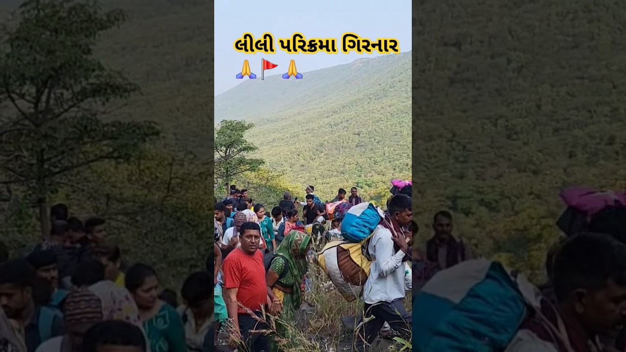 લીલી પરિક્રમા ગિરનાર જુનાગઢ | Lili parikrama 2024 #girnar #girnarmountain #parikrama #junagadh