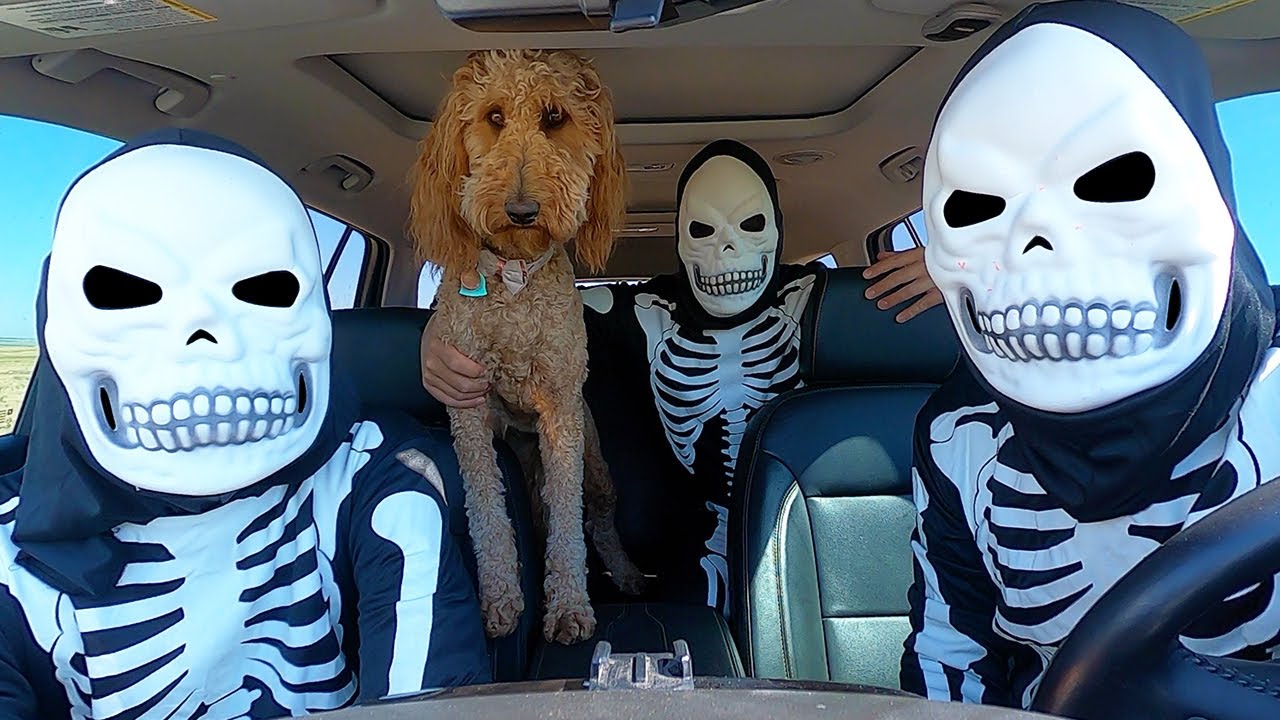 Skeleton Surprises Puppy With Car Ride Chase