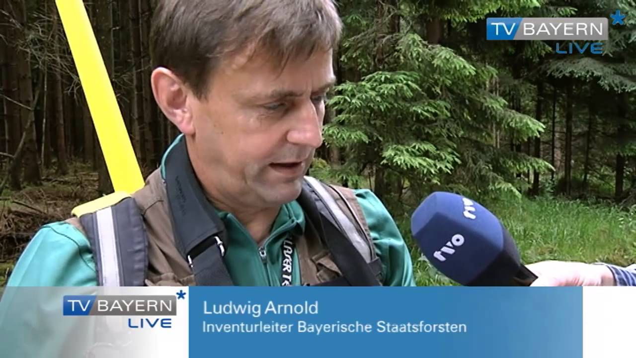 Waldinventur im Fichtelgebirge - Bericht vom 30.06.2013 auf TV BAYERN LIVE*