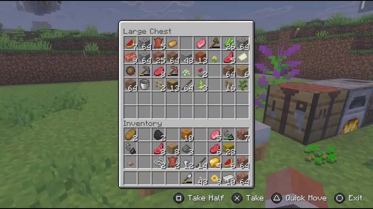 Minecraft Ep 4 path way to the village FT. @slushie_yt33