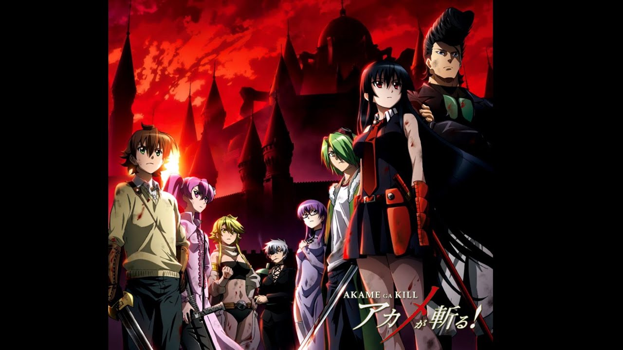Akame ga Kill! - Exceptional One (11)