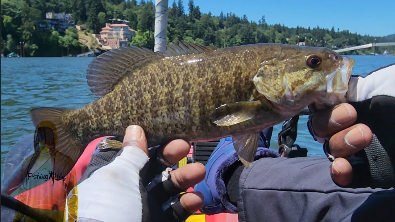 Fishing Memories of Yesterday KEEP Catching Life .... Memories
