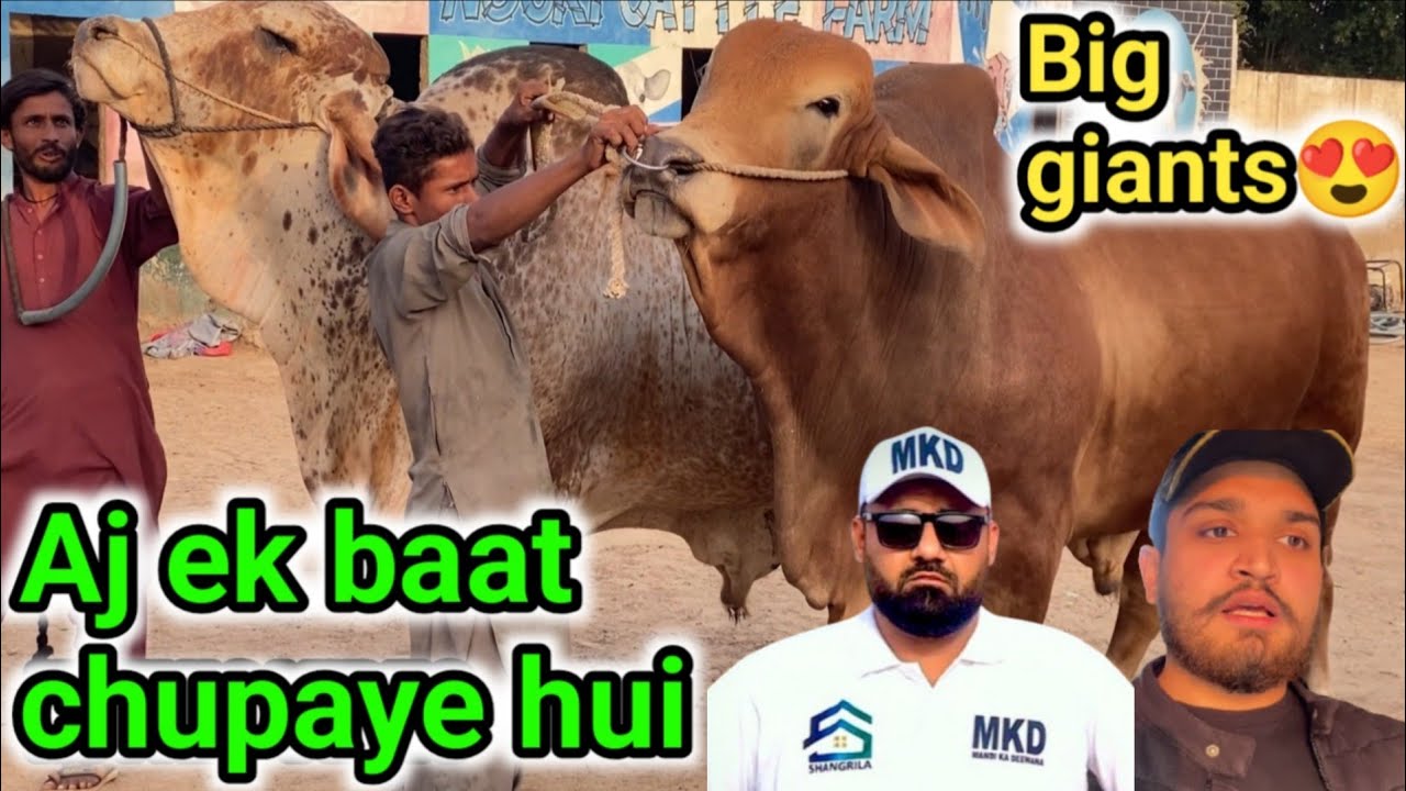 First truck ka badshah or deewana at my farm😯❤️