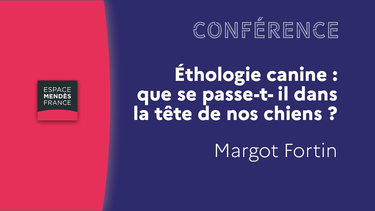 Éthologie canine : que se passe-t- il dans la tête de nos chiens ? Margot Fortin