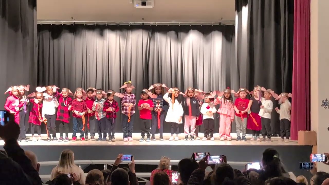 Vithu's concert 