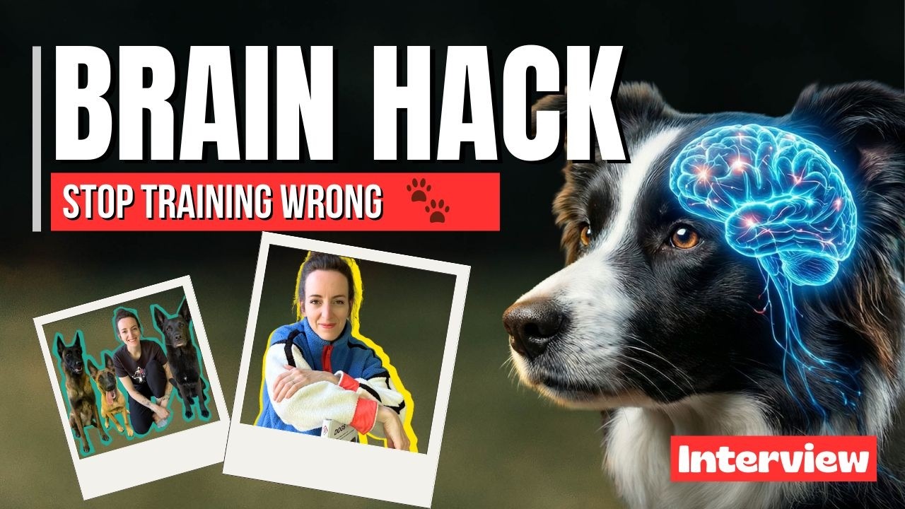 The Brain Hack That Builds Confident, Resilient Dogs (Not Calm Ones)