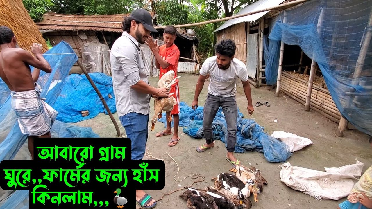 আবারো গ্রাম ঘুরে,,ফার্মের জন্য হাঁস কিনলাম,,,🦆