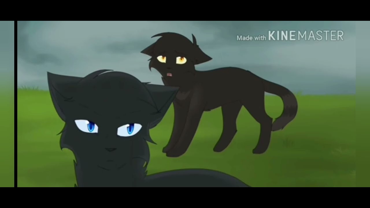 коты воители песня bendi (#warriors cats)(#music)(#videoshort