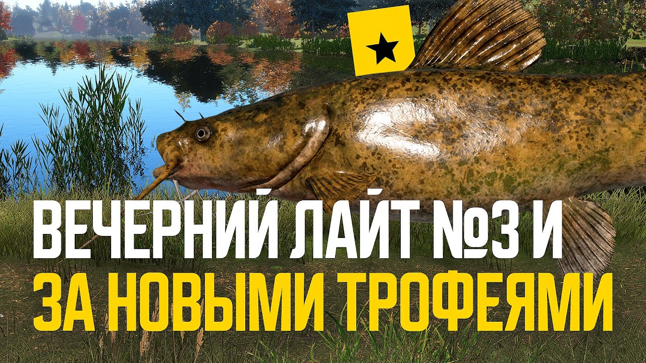 Сомик оливковый, Чукучан, Вечерний лайт №3 ● Русская рыбалка 4 ● Перчик РР4