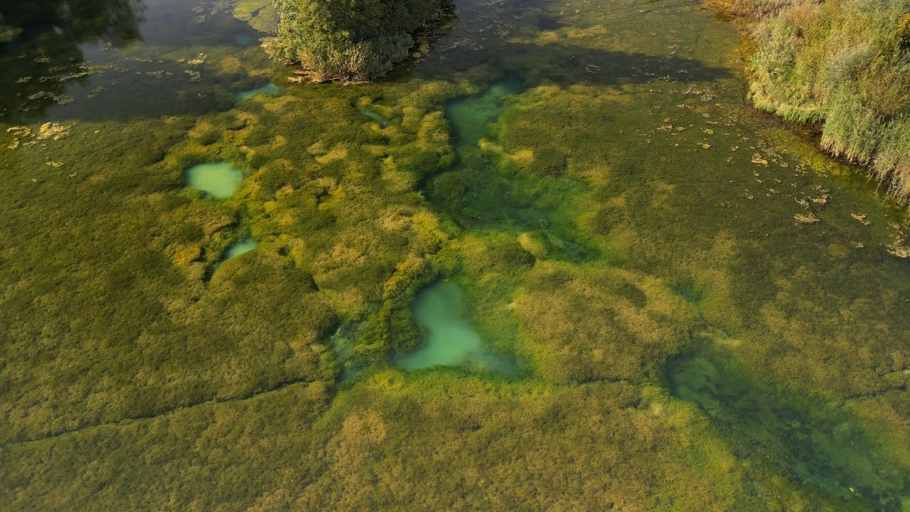 J&auml;neda Allikaj&auml;rv 4K