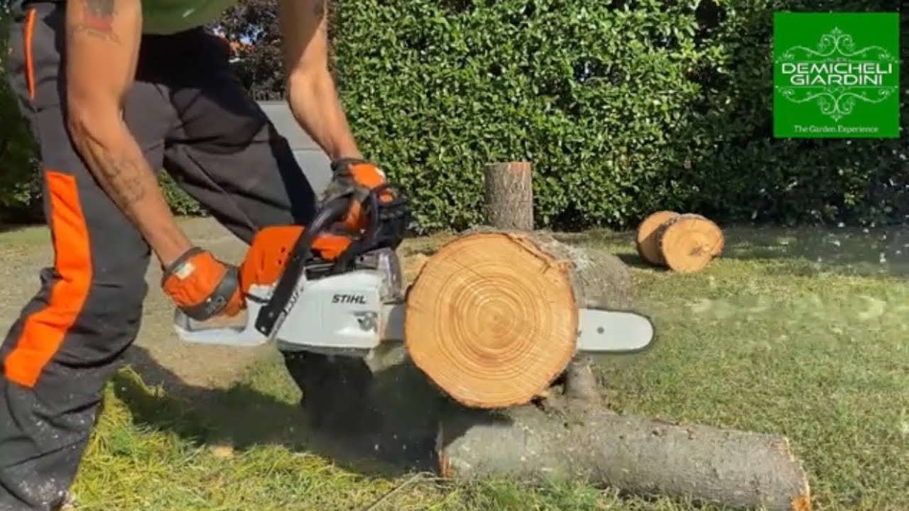 Prova Motosega Stihl MS 251