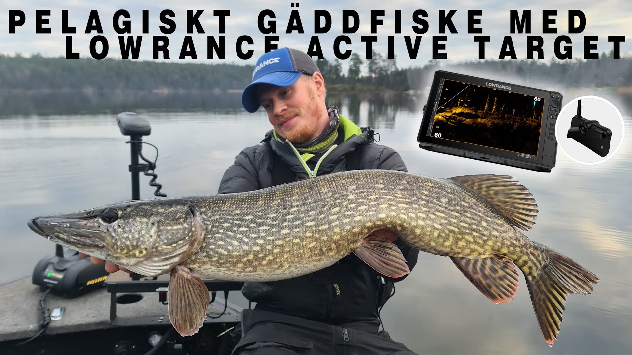 Pelagiskt Gäddfiske Med Lowrance Active Target