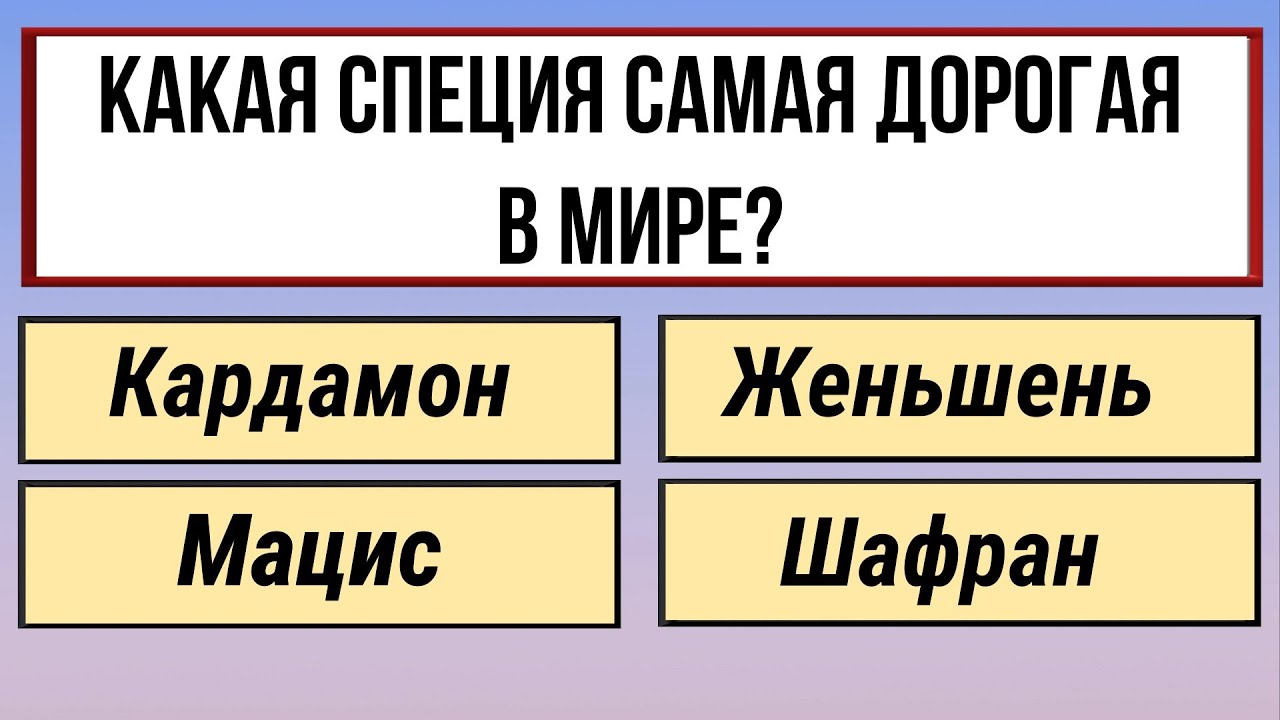 Тест для разминки ума и знаний — 30 вопросов на эрудицию!