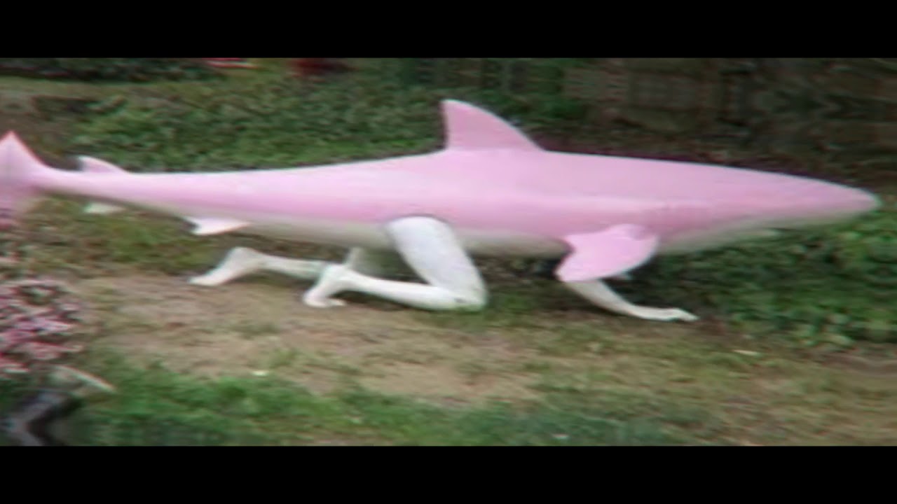 cursed images meme