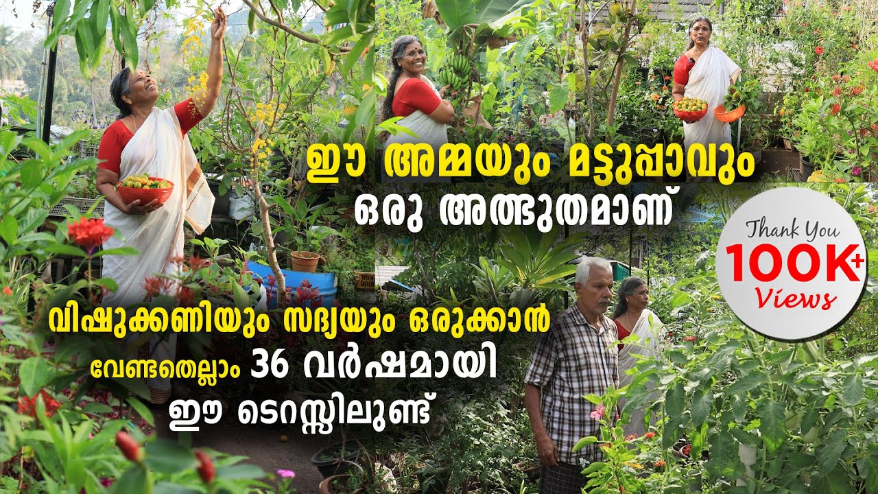 ഈ അമ്മയും മട്ടുപ്പാവും ഒരു അത്ഭുതമാണ് | വിഷുക്കണിയും സദ്യയും ഒരുക്കാൻ വേണ്ടതെല്ലാം മട്ടുപ്പാവിലുണ്ട്