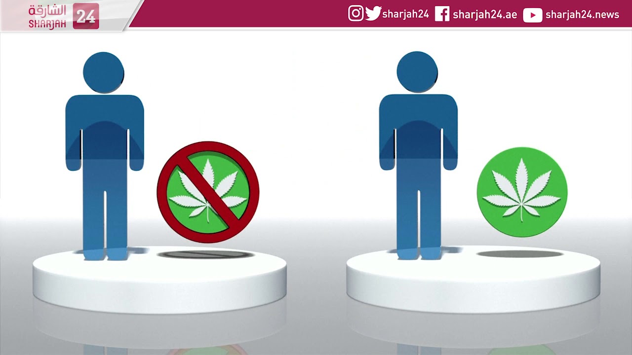 Adolescents who give up marijuana show improved cognition