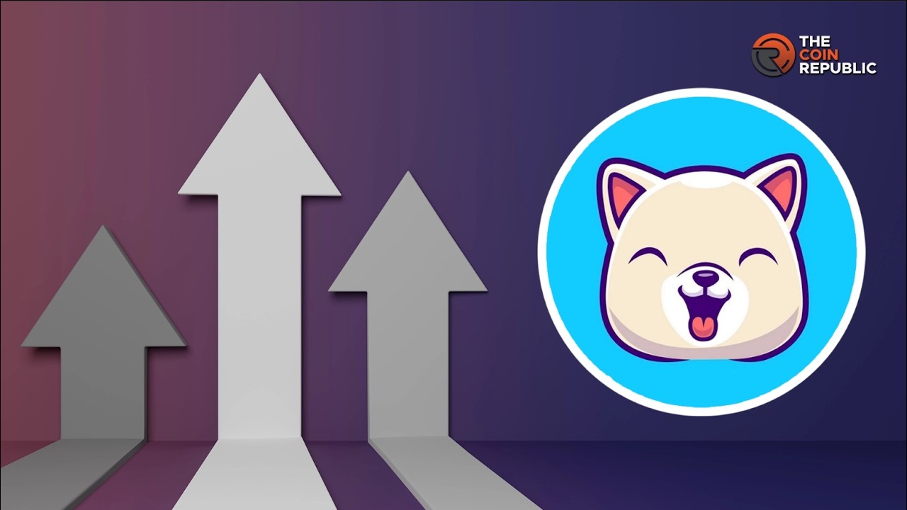 KISHU INU WILL CANCEL 5 ZEROS!
