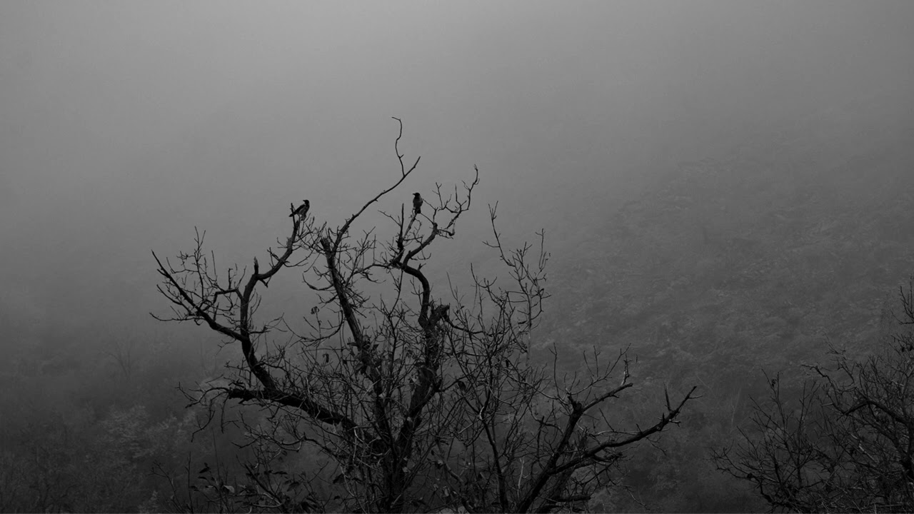 Tiikk // Still Waiting