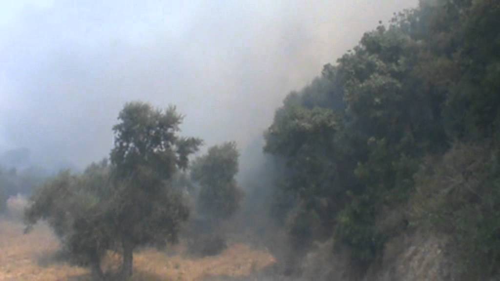 18/07/12 Φωτιά Σελλά, Πλατάνι κτλ 5/6-Large Forest Fire Patras Waldbrand