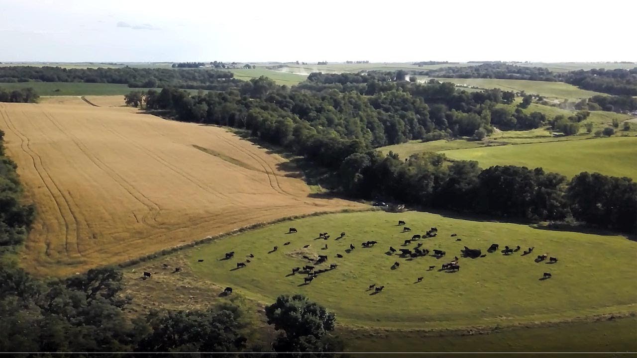 Stand Strong: Oak Meadow Farms, Minnesota