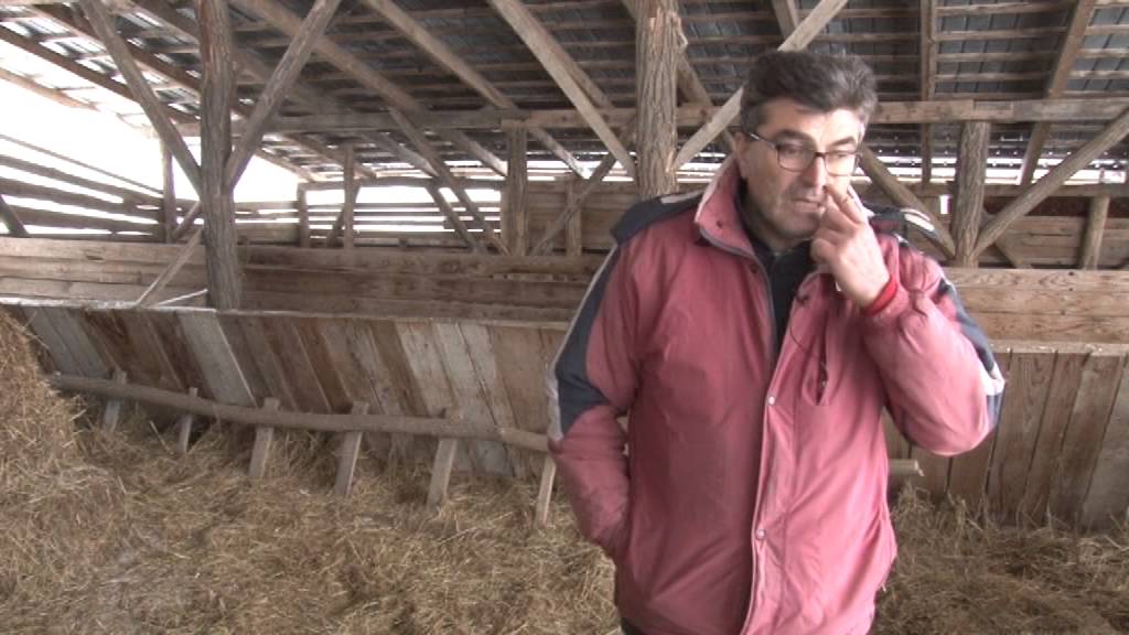 Kompost od ovčijeg i konjskog stajnjaka - Cvetojevac