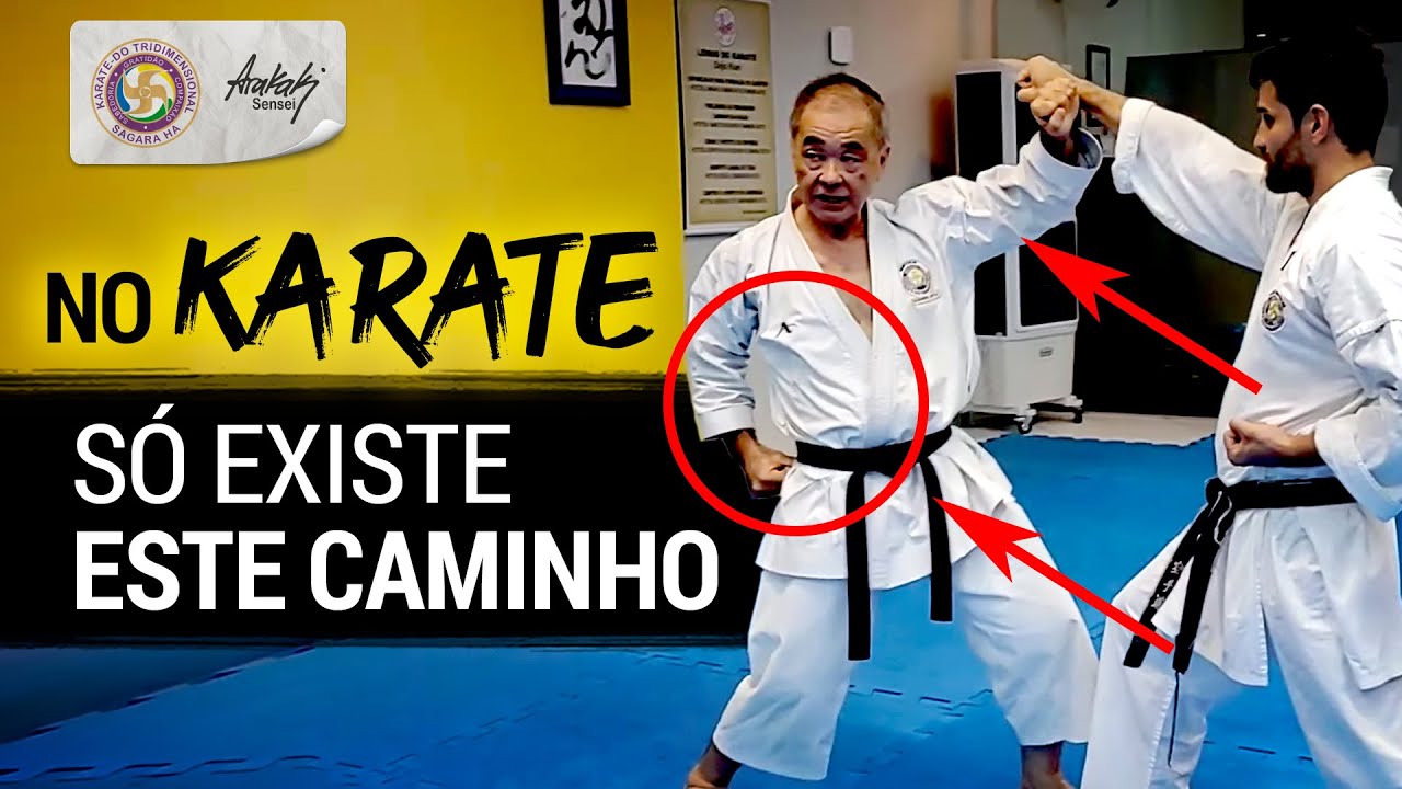 KIHON KATA KUMITE - UM TREINO RAIZ QUE TE LEVA &Agrave; CONSCI&Ecirc;NCIA DO MOVIMENTO | Helio Arakaki Sensei